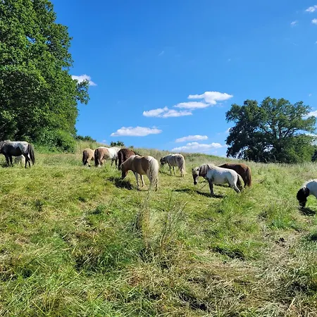 La Garenciere - Les Hirondelles