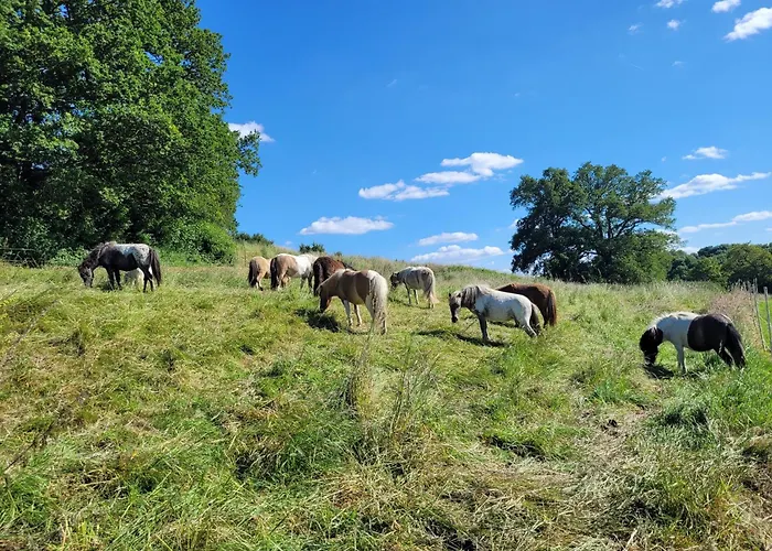 La Garenciere - Les Hirondelles